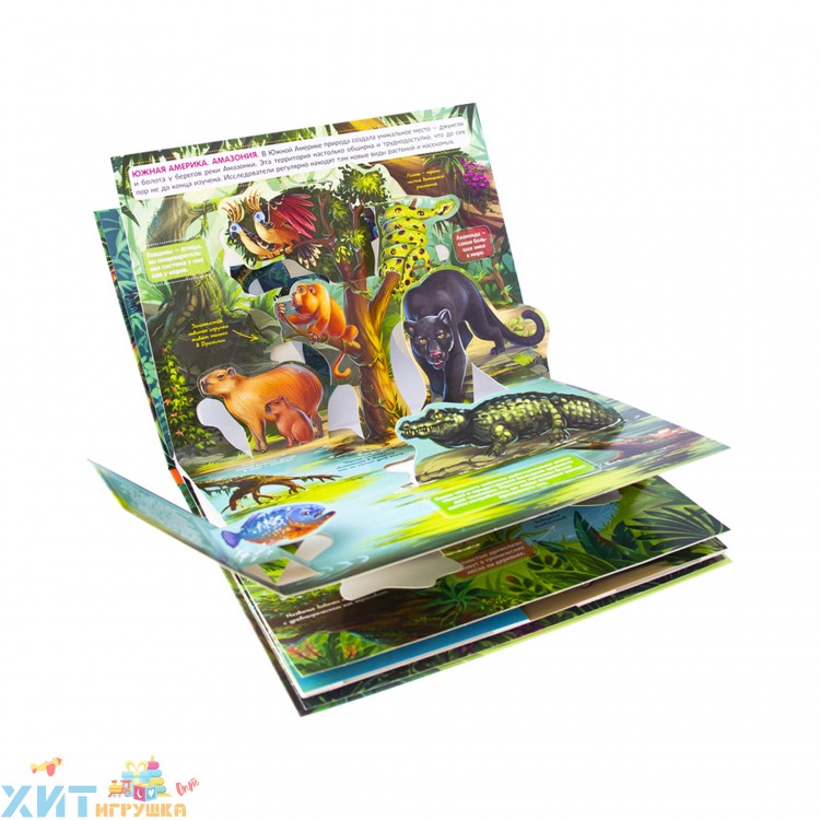 POP UP энциклопедия. Книжка-панорамка. Живая планета. Джунгли 340942