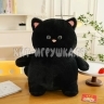 Мягкая игрушка Котик 30 см (ВЫБОР ЦВЕТА) 802-30cat