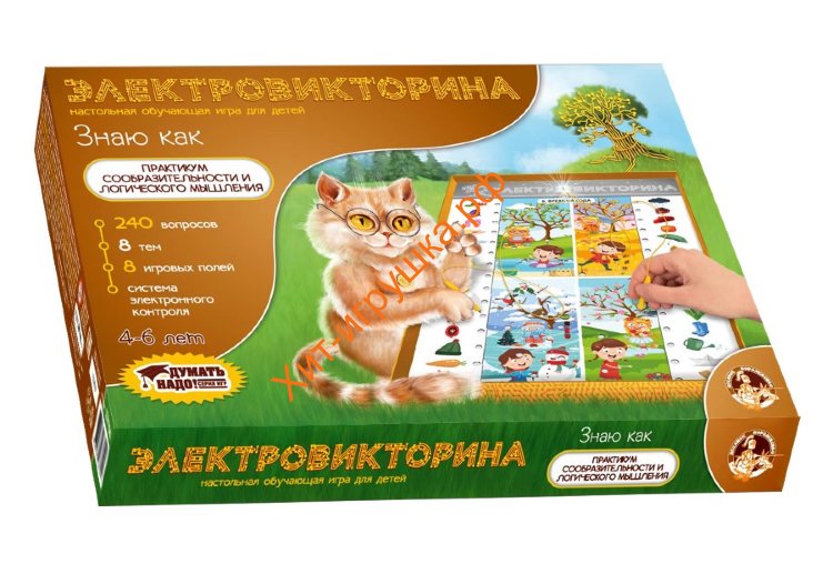 Игра Электровикторина "Знаю как" 03704