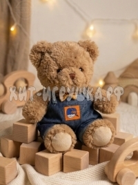 Мягкая игрушка Мишка в костюме 26 см (ВЫБОР ЦВЕТА) 2026-14