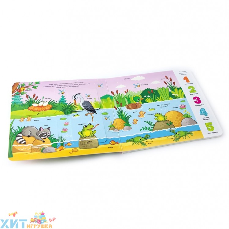 Мои первые слова. Лес: книжка с окошками 340973