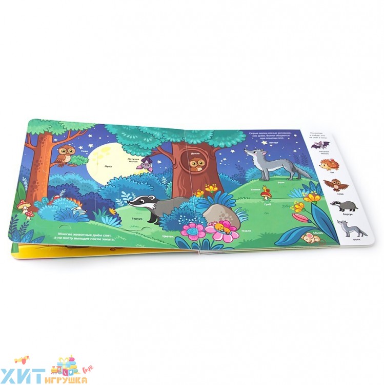 Мои первые слова. Лес: книжка с окошками 340973