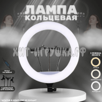 Кольцевая LED лампа AL-122