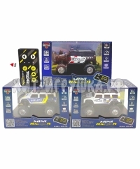 Машина Р/У в ассортименте HG4-272