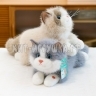 Мягкая игрушка Котик 40 см (муз) (ВЫБОР ЦВЕТА) CAT40