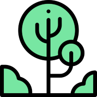 Наборы для выращивания растений